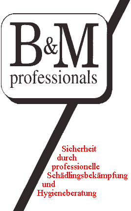 B + M professionals